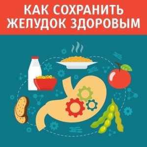  Неделю 12 – 18 февраля 2024 года Минздрав России объявил Неделей профилактики заболеваний желудочно-кишечного тракта (ЖКТ)