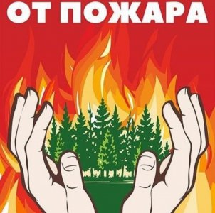 Правила пожарной безопасности в лесах!