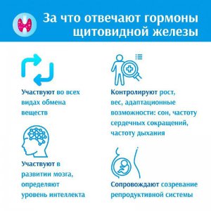 С 20 мая по 26 мая 2024 года Министерство здравоохранения Российской Федерации объявило неделей Неделя профилактики заболеваний эндокринной системы.